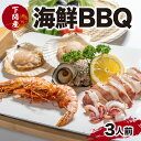 【ふるさと納税】 海鮮 BBQ 3人前 バーベキュー ホタテ エビ イカ サザエ 下関 山口