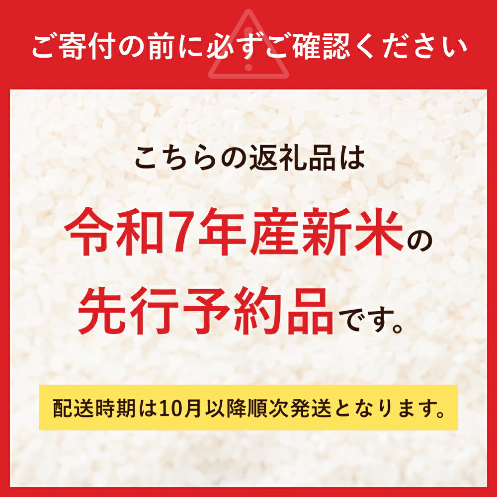 【ふるさと納税】令和7年度米 5kg 10kg 選べる 容量 恋の予感 米 こめ お米 白米 精米 お取り寄せ 食品 人気 おすすめ プレゼント ギフト 贈答 家庭用 便利 お手軽 備蓄 ご飯 お弁当 おにぎり 山口県産 産地直送 美味しい米 下関 山口