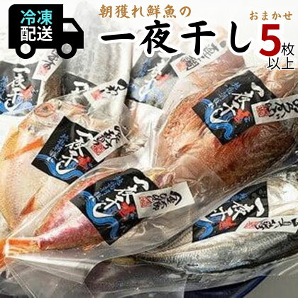 【魚千代】山口県産 朝獲れ鮮魚の一夜干　おまかせ5種　　山口県 宇部市 新鮮 一夜干し おまかせ 魚 味付け 塩分 控えめ 小分け 保存 冷凍 魚 のどぐろ さわら 連子鯛 ヤリイカ れんちょう 甲いか 金太郎 魚醤 天然塩 味醂 白だし 酒