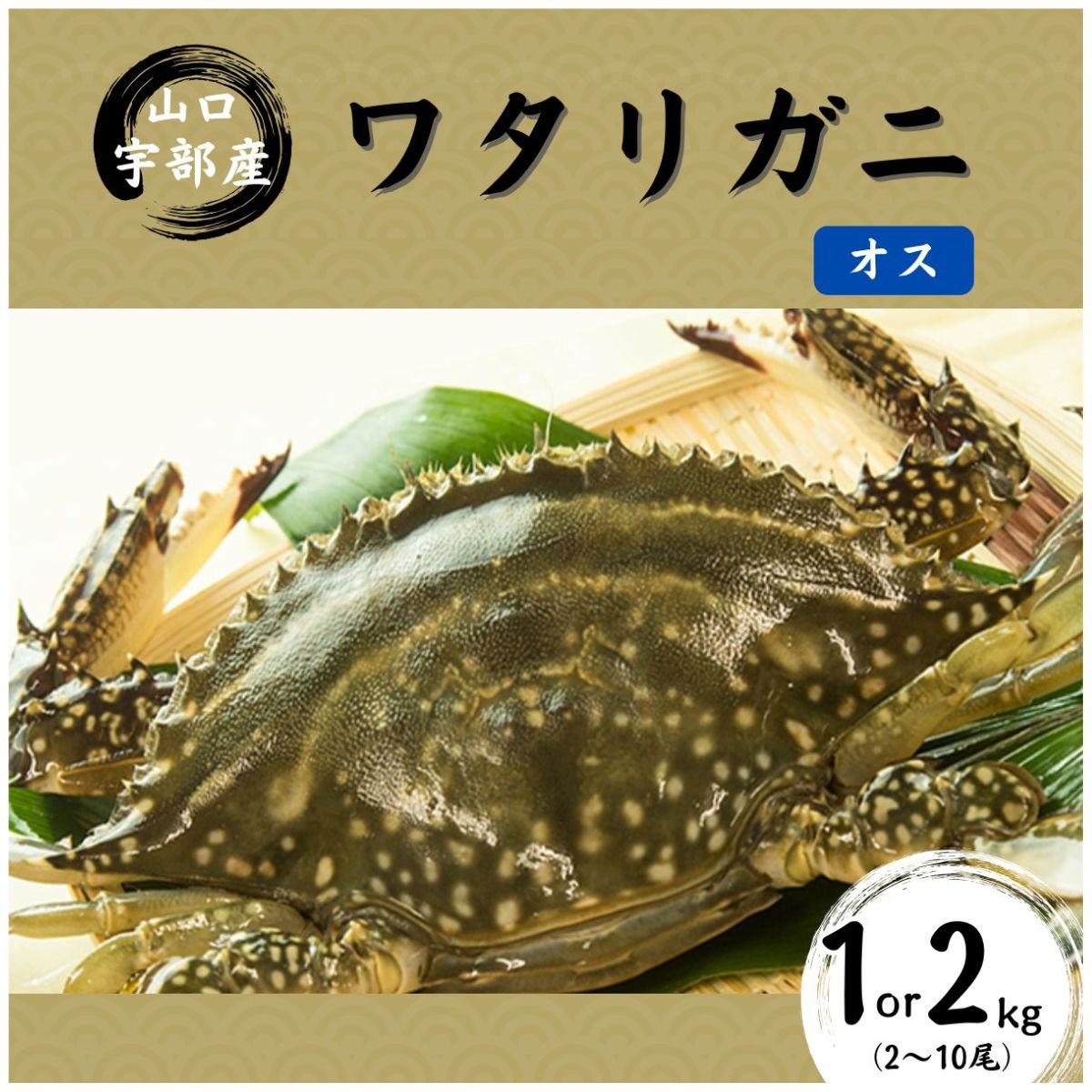 [先行予約][北海道・東北・沖縄・離島配送不可/着日指定必須]＼選べる内容量/ワタリガニ [オス] 1kg(2〜5尾)or2kg(5〜10尾) | 鍋 パスタ 味噌汁 カニ 超 新鮮 ゆでる 蟹 かに 蟹みそ 醤油漬け 料理 お祝い 魚介 山口県 宇部市