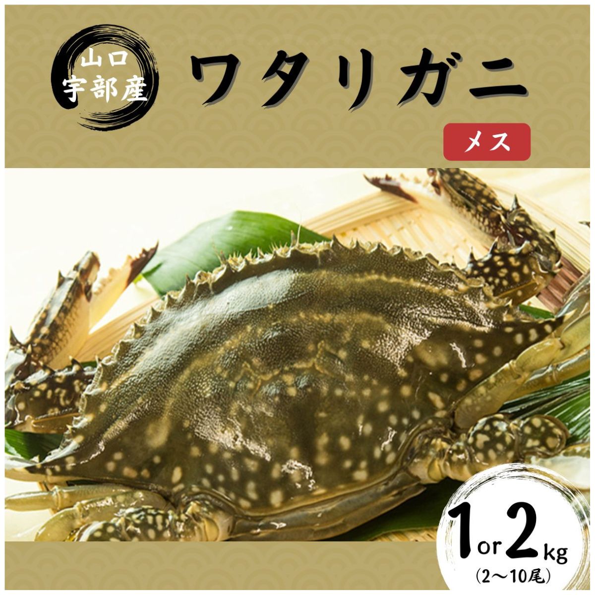 [先行予約][北海道・東北・沖縄・離島配送不可/着日指定必須]＼選べる内容量/ワタリガニ [メス] 1kg(2〜5尾)or2kg(5〜10尾) | 鍋 パスタ 味噌汁 カニ 超 新鮮 ゆでる 蟹 かに 蟹みそ 醤油漬け 料理 お祝い 魚介 山口県 宇部市