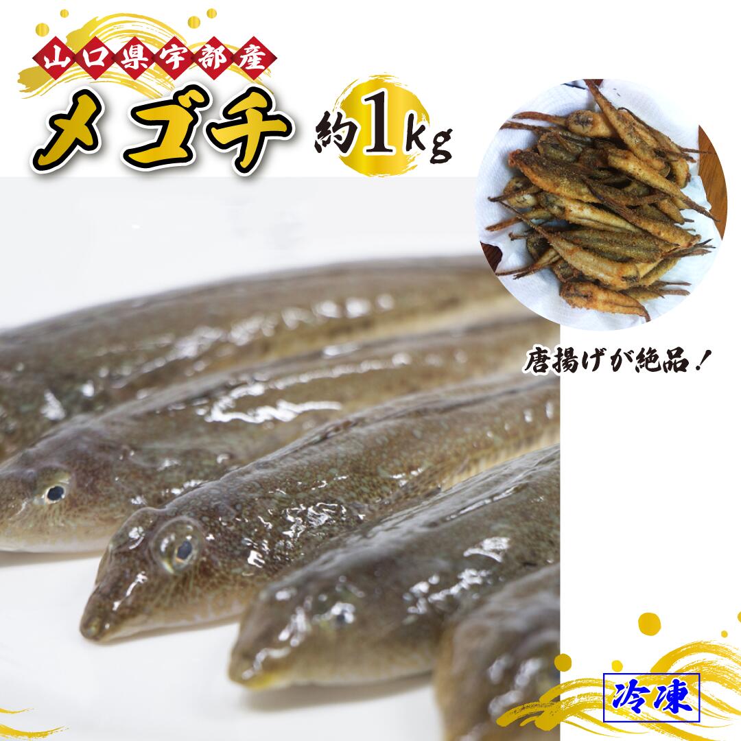 17位! 口コミ数「0件」評価「0」 メゴチ ・ メコチ (1kg) 【 魚 新鮮 ツマミ 唐揚げ 市場直送 山口県 宇部市 】