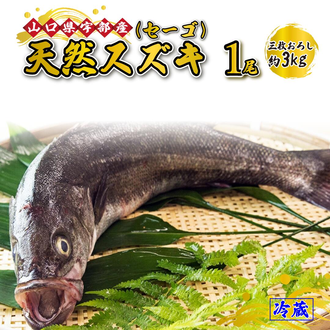 【ふるさと納税】 《三枚おろし》 天然 スズキ ・ セーゴ (1尾 約3kg) 【 魚 新鮮 ツマミ 刺身 煮つけ 市場直送 山口県 宇部市 】