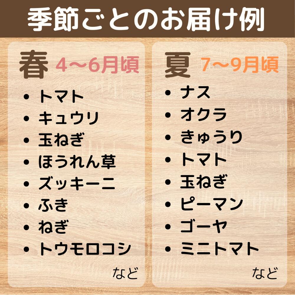 【ふるさと納税】【選べる定期便 3ヶ月〜12ヶ月】新鮮野菜の産直 7～10品目 ＜楠こもれびの郷「楠四季菜市」 | 新鮮野菜 宇部市産 季節野菜 詰合せ 直送 野菜セット 旬の野菜 地元産 新鮮食品 野菜ボックス 定期便 山口県 宇部市