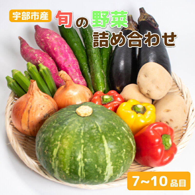 1位! 口コミ数「2件」評価「4」新鮮野菜の産直 ＜楠こもれびの郷「楠四季菜市」＞　山口県 宇部市 宇部産 新鮮 野菜 詰合わせ 農家 土づくり 有機 肥料 地元産 季節 旬