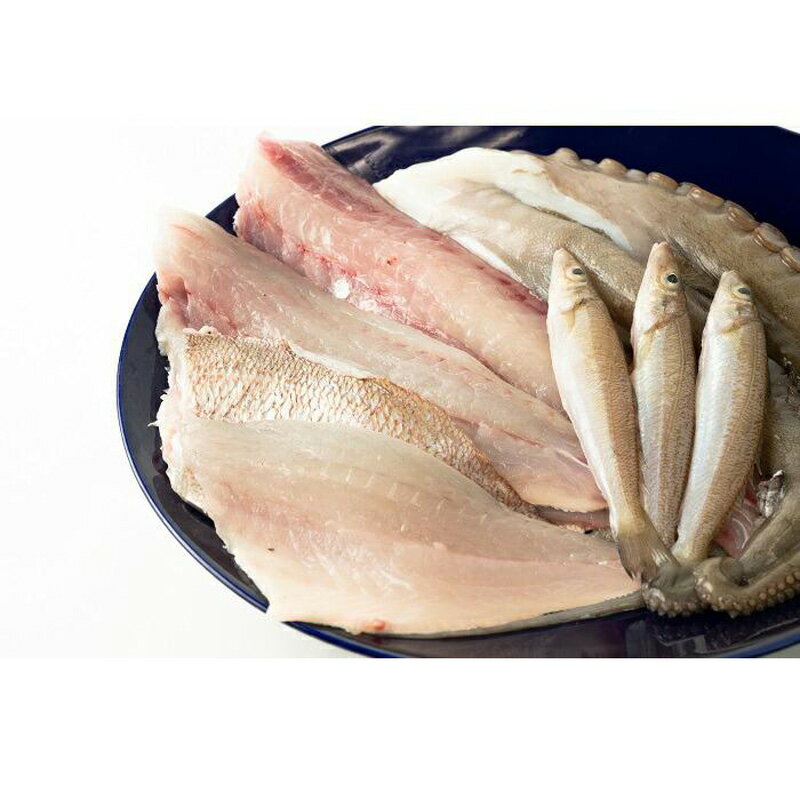 鮮魚類 ふるさと納税の返礼品一覧 人気順 21年 ふるさと納税ガイド 鮮魚類 ふるさと納税の返礼品一覧 人気順 21年 ふるさと納税ガイド