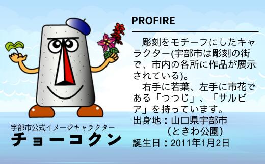 【ふるさと納税】 チョーコクンぬいぐるみ（大） 1個 【 山口県 宇部市 ゆるキャラ ご当地キャラ キャラクター ゆるチョーコクン 宇部ふるさと大使 YOASOBI Ayase 紹介 話題 SNS やす子 インテリア 置物 飾り物 人形 マスコット 】