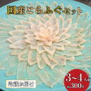 16位! 口コミ数「0件」評価「0」 (冷蔵) 高級 活魚 繁光の国産 とらふぐ 特選フク刺しセット 3~4人前 フグ刺し 国産 トラフグ 刺身 てっさ 薬味 ポン酢 付き 特･･･ 