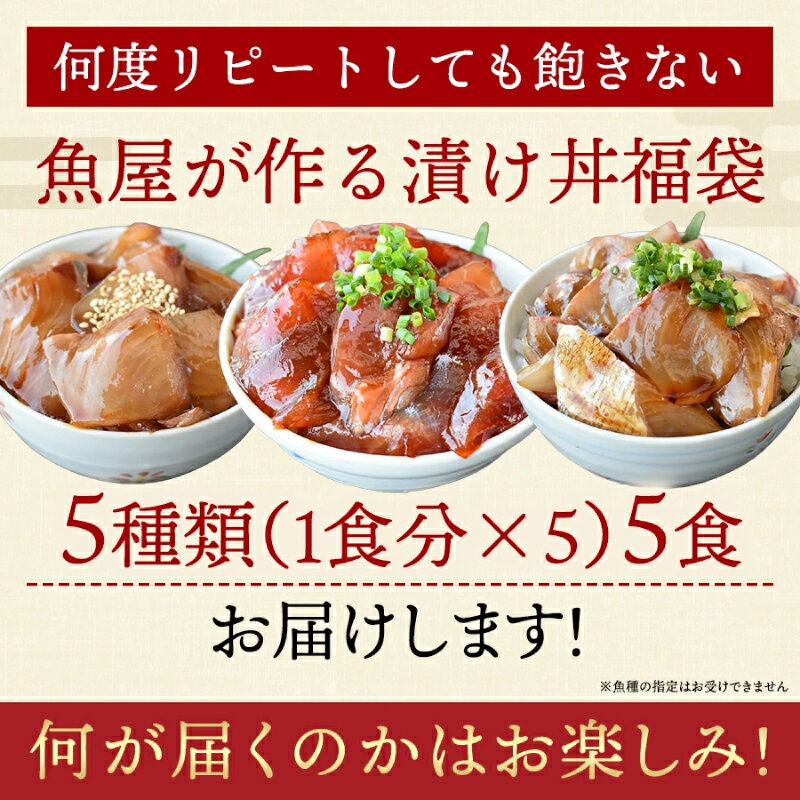 【ふるさと納税】海鮮丼 5種×1パック 計5食 山口県 宇部市 漬け丼 冷凍 真空 小分け 鮮魚 保存食 茶漬け 刺身 寿司 惣菜 魚介 海鮮セット 詰め合わせ ハマチ カンパチ カツオ 鯖 サバ ヒラマサ 平政 マグロ アジ ヒラメ 鯛 ご家庭用 ギフト お取り寄せ 旬の魚 産地直送