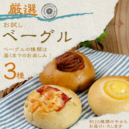 【ふるさと納税】<お試し>ベーグル 3種セット | ベーグル パン ぱん 小麦 セット商品 山口県 お試しセット 冷凍 プレーン パン 簡単 簡単調理 アレンジ もちもち ベーグル パン 大容量 家族 厳選 返礼品 山口県 宇部市