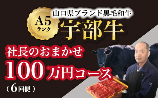 12位! 口コミ数「0件」評価「0」【宇部牛】（定期便 6回便）社長おまかせプレミアム ＜100万円コース＞ 黒毛和牛A5ランク宇部牛 山口県 宇部市 こだわり ブランド 希少･･･ 