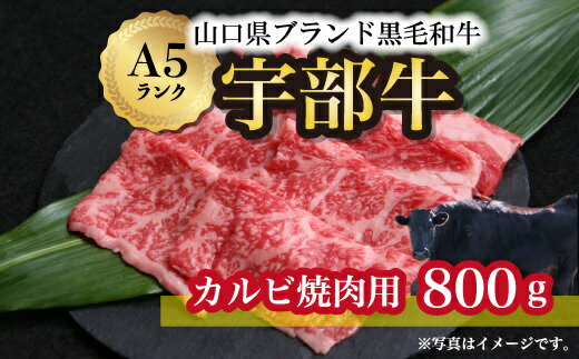 【ふるさと納税】【宇部牛】 カルビ焼肉用 800g 山口県 宇部市 宇部牛 黒毛和牛 オレイン酸 上質 肉質 脂 美味しい 育て方 こだわり ブランド A5ランク 焼肉 BBQ 肉 牛 業務 家族 お裾分け お…