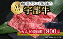 【ふるさと納税】【宇部牛】 カルビ焼肉用 800g　山口県 宇部市 宇部牛 黒毛和牛 オレイン酸 上質 肉質 脂 美味しい 育て方 こだわり ブランド A5ランク 焼肉 BBQ 肉 牛 業務 家族 お裾分け お祝い イベント クリスマス お誕生日