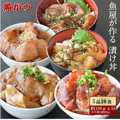 (冷凍) 漬け丼 5種×2パック 計10食セット 冷凍 真空パック 小分け 海鮮丼 海鮮セット 詰め合わせ 旬の鮮魚