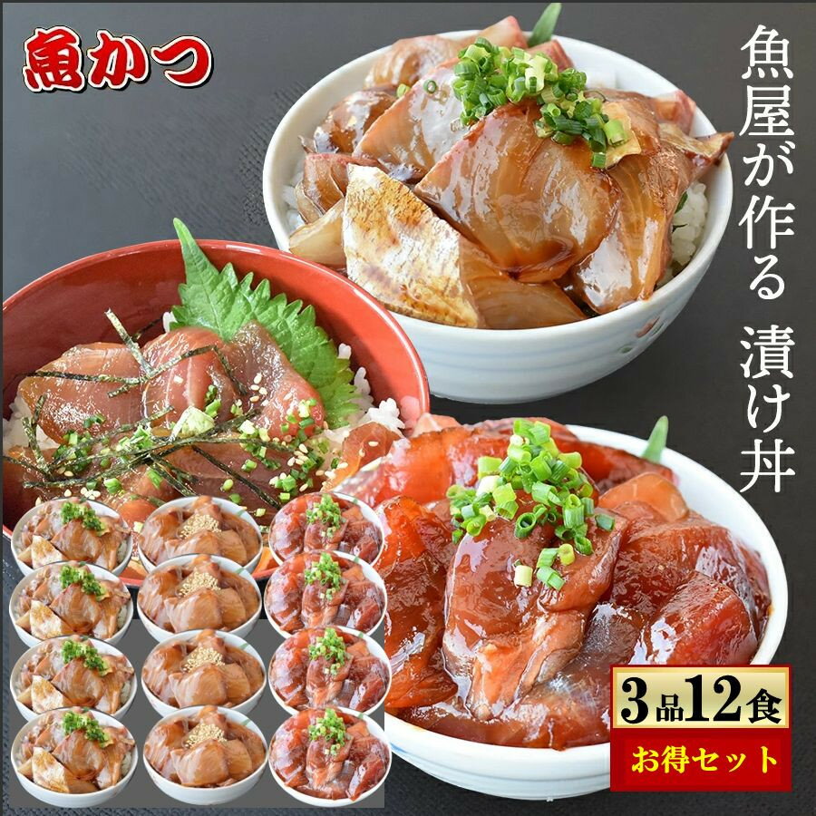 【ふるさと納税】 冷凍 漬け丼 3種 4パック 計12食セット 冷凍 真空パック 小分け 海鮮丼 海鮮セット 詰め合わせ 旬の鮮魚 コンパクト 福袋 1パック1人前 流水解凍 刺身 食感 お茶漬け お酒の…