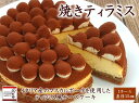 【ふるさと納税】焼きティラミス 山口県 宇部市 ティラミス イタリア マスカルポーネ 贅沢 チーズケーキ なめらかな 甘さ控えめ マスカルポーネ 上品 ケーキ ...