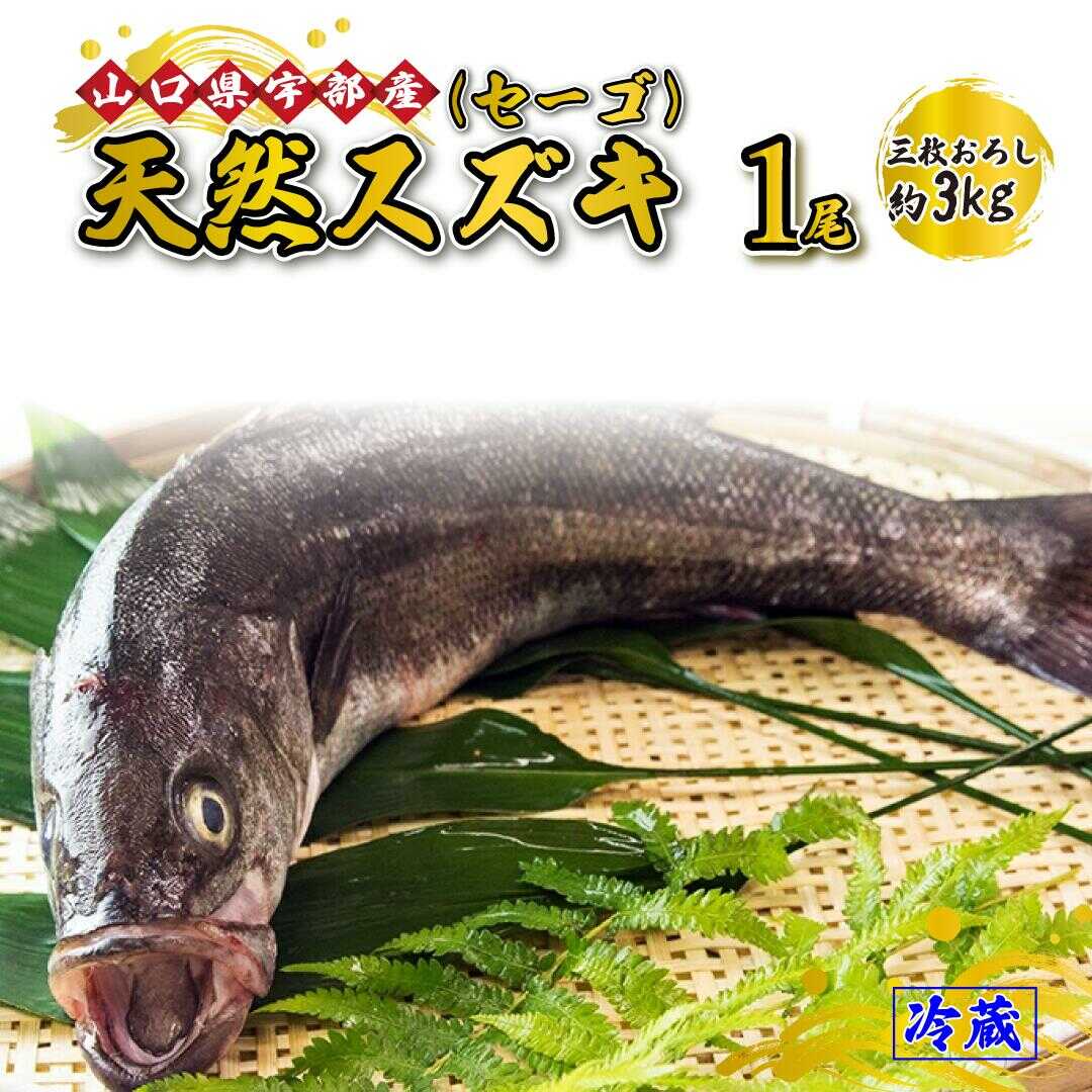 ※着日指定必須※ 《三枚おろし》 天然 スズキ ・ セーゴ (1尾 約3kg) 【 魚 新鮮 ツマミ 刺身 煮つけ 市場直送 山口県 宇部市 】[BTAE020]