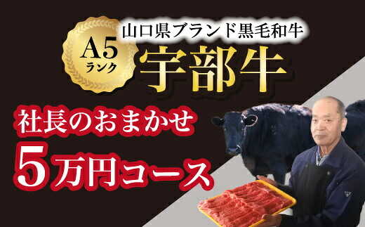 【ふるさと納税】【山口宇部牛】社長おまかせ＜5万円コース＞黒毛和牛A5ランク宇部牛 山口県 宇部市 こだわり ブランド 希少部位 骨付き 焼肉 すき焼き BBQ しゃぶしゃぶ ステーキ お祝い クリスマス お誕生日[BTAJ005]