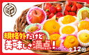 A086【ふるさと納税】 規格外だけど美味しさ満点!エコ・フルーツアソートボックス定期便(12回)