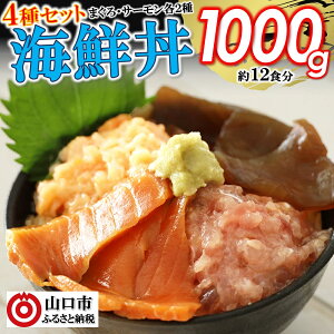 E-177【ふるさと納税】海鮮丼4品人気セット　1kg（ネギトロ他3品）