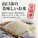 A060【ふるさと納税】山口の美味しいお米定期便 5kg 12回 白米 