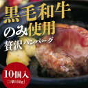 14位! 口コミ数「6件」評価「4.83」D085黒毛和牛100％ハンバーグ10個入り