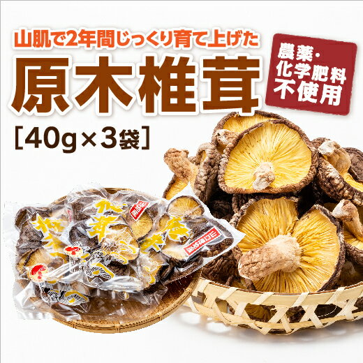 E049山口徳地産原木栽培乾しいたけ40g×3袋