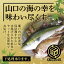 A008【ふるさと納税】山口県漁協大海の海の幸セット（年12回コース）