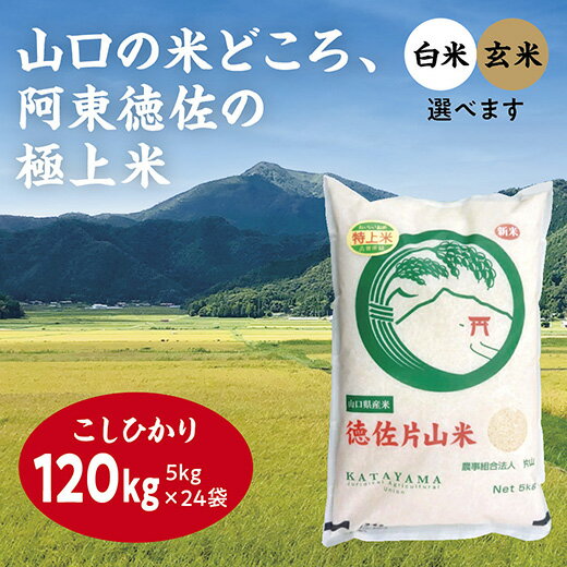 A025【ふるさと納税】徳佐片山米こしひかり120kg