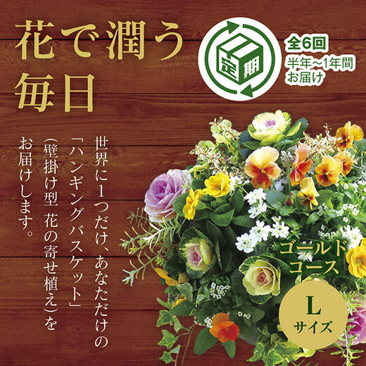 14位! 口コミ数「0件」評価「0」A059「花うるるのハンギング寄せ植え定期便〜ゴールドコース」【全6回】（半年〜1年間お届け）