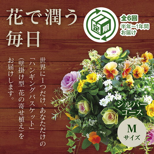 花・観葉植物人気ランク20位　口コミ数「1件」評価「5」「A031【ふるさと納税】花うるるのハンギング定期便～シルバーコース【全6回】（半年～1年間お届け）」