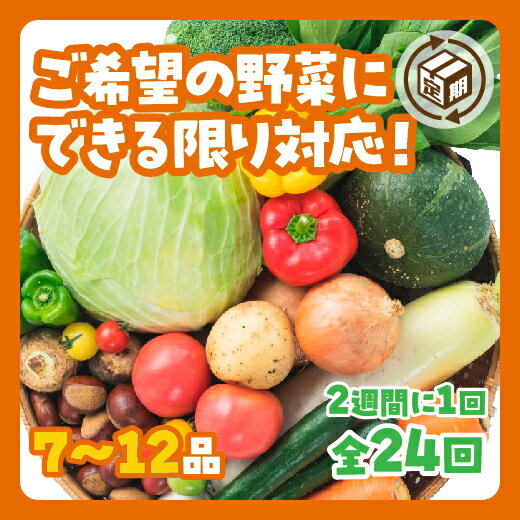 A028わがままお野菜定期便（24回）