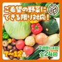 A028【ふるさと納税】わがままお野菜定期便(24回)
