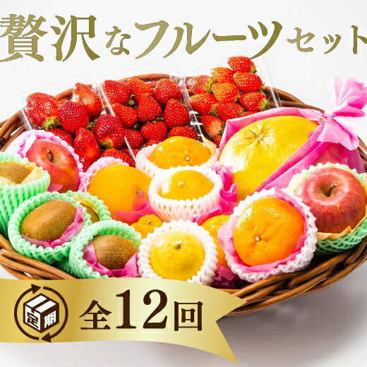 A-070【ふるさと納税】ご褒美＊フルーツ定期便（12回）のサムネイル