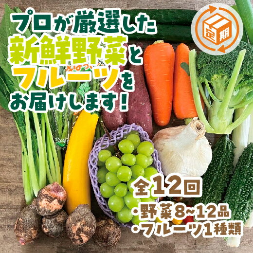 A035朝採り野菜とフルーツの定期便(12回)