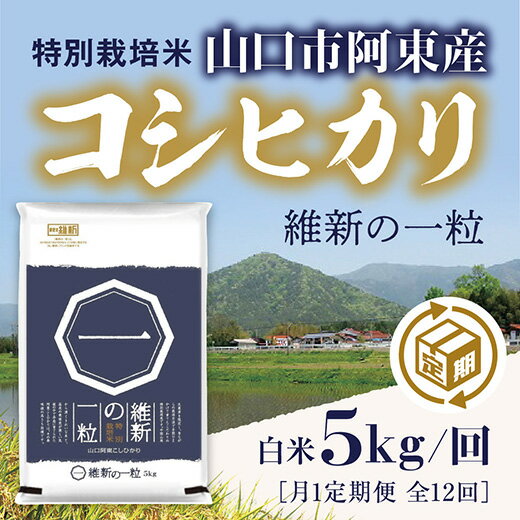 7位! 口コミ数「0件」評価「0」A047維新の一粒5kg×12袋（月1定期便）（精米）