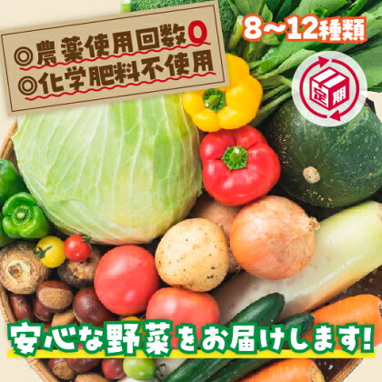 A034安心お野菜定期便（12回コース）