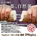 15位! 口コミ数「0件」評価「0」A017【山薬王】命の根っこですから。美味しく美腸活！贅沢自然薯定期便（月2回/24回お届け）