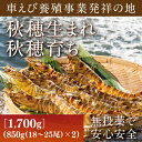 B056【ふるさと納税】旭水産活き車海老（あいおえび）1700g（850g（18～25尾）×2）【養殖】