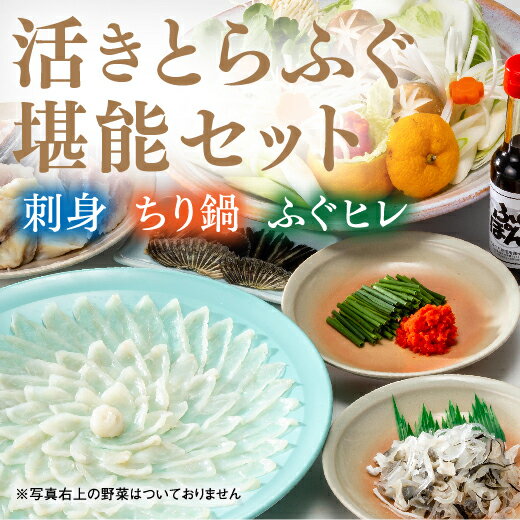 魚介類・水産加工品(フグ)人気ランク30位　口コミ数「1件」評価「5」「B029【ふるさと納税】とらふぐの刺身（33cmプラ皿）とふぐちりセット」