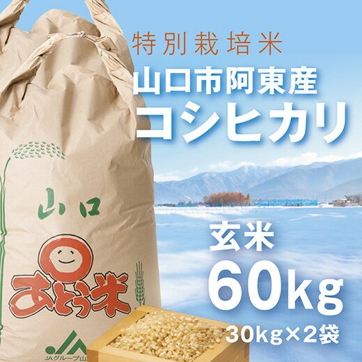 B004【ふるさと納税】特別栽培米阿東産コシヒカリ玄米60kgのサムネイル