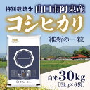 B054【ふるさと納税】維新の一粒5kg×6袋（白米）