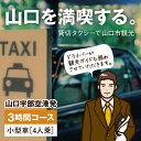 B-064【ふるさと納税】山口宇部空港発・山口市内3時間コース