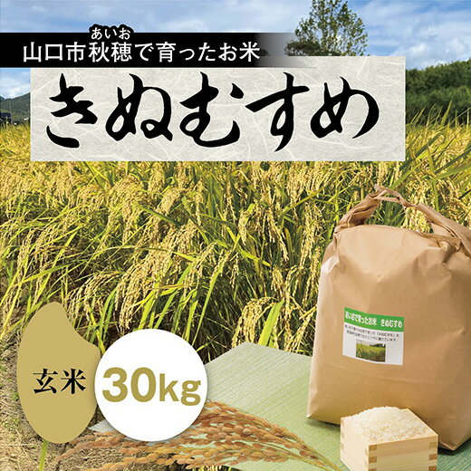 B044あいお（秋穂）で育ったお米　きぬむすめ　玄米30kg