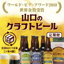 B003【ふるさと納税】【WBAワールド・ビア・アワード2018世界金賞受賞】山口地ビール定期便(4回コース)