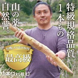 C042【ふるさと納税】ミライエfarm特級規格品質1本もの1キロ超え特大サイズ　最高級自然薯