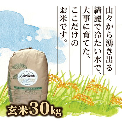 C047しのめ清流米玄米30kg