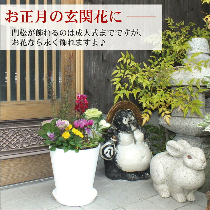 C012【ふるさと納税】季節の花の寄せ植え　10号鉢　選べる鉢色　室内園芸装飾マイスター岡部太郎氏監修