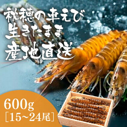 D024活きあいおえび600g（15〜24尾）