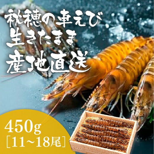 魚介類・水産加工品(エビ)人気ランク37位　口コミ数「24件」評価「4.96」「D090【ふるさと納税】活きあいおえび450g（11〜18尾）」